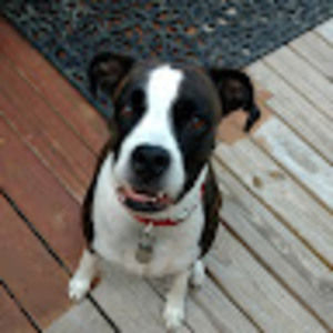 Meet your Posher, Brian